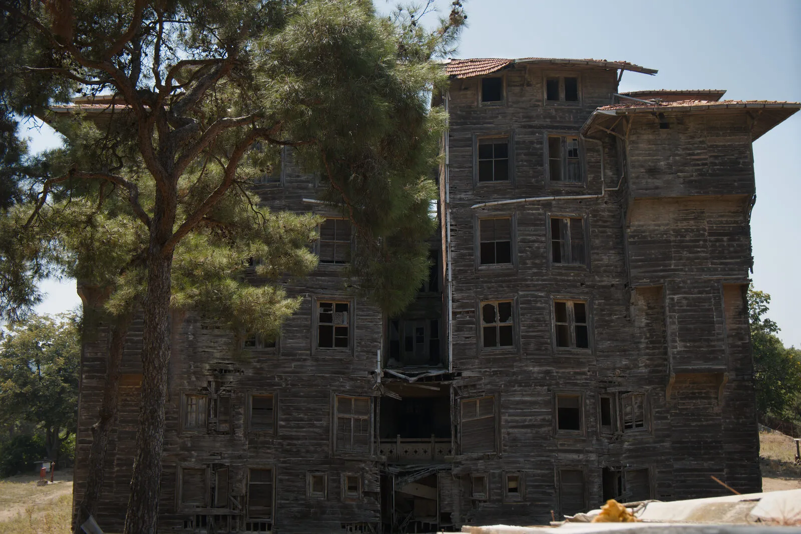 Κοντινή άποψη μιας ξύλινης πτέρυγας του κτιρίου πίσω από πεύκο